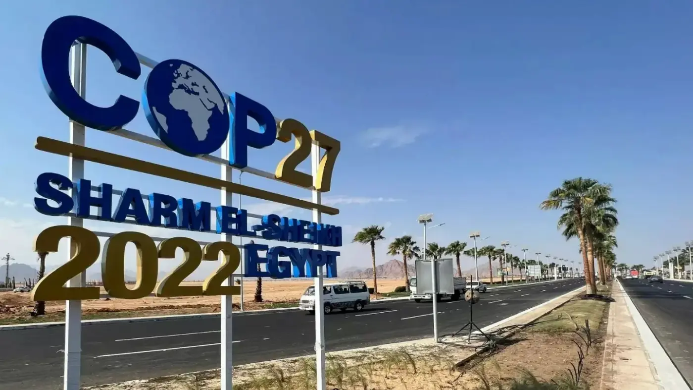 The Cairo expo year, and where brands win it 1